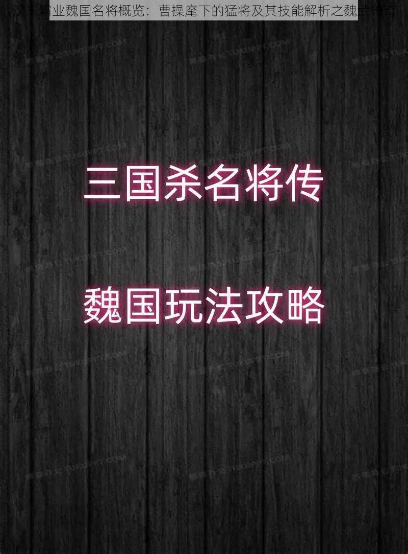 汉末霸业魏国名将概览：曹操麾下的猛将及其技能解析之魏武传奇