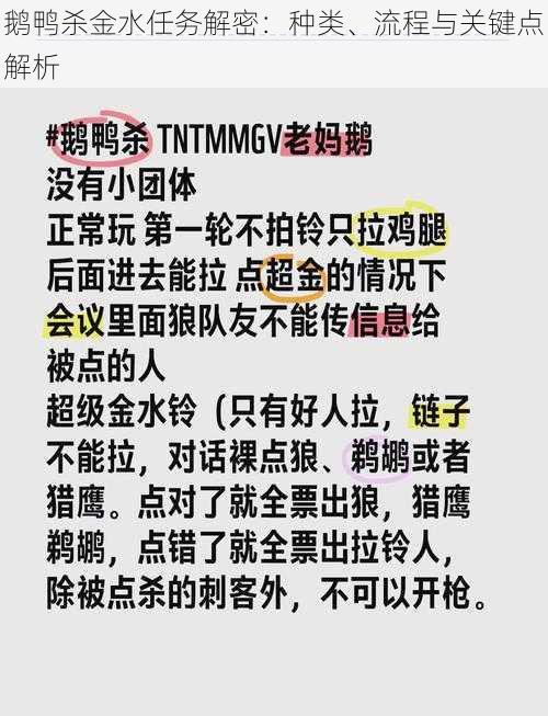 鹅鸭杀金水任务解密：种类、流程与关键点解析