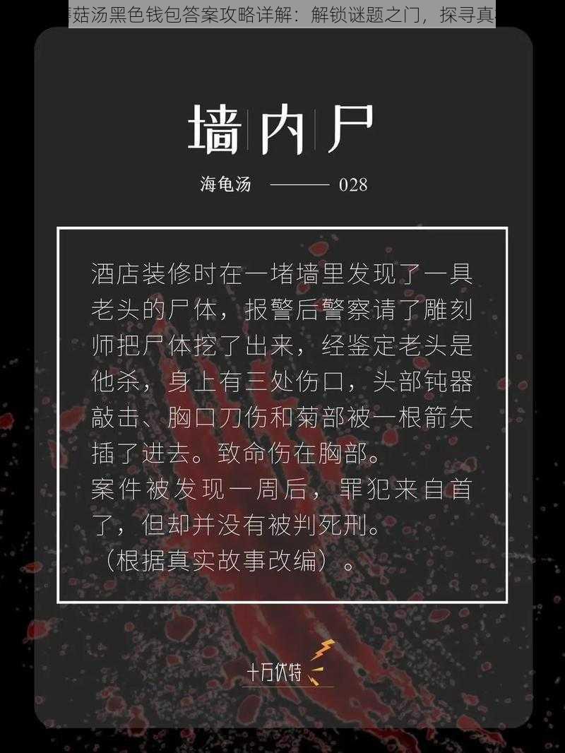 海龟蘑菇汤黑色钱包答案攻略详解：解锁谜题之门，探寻真相之旅