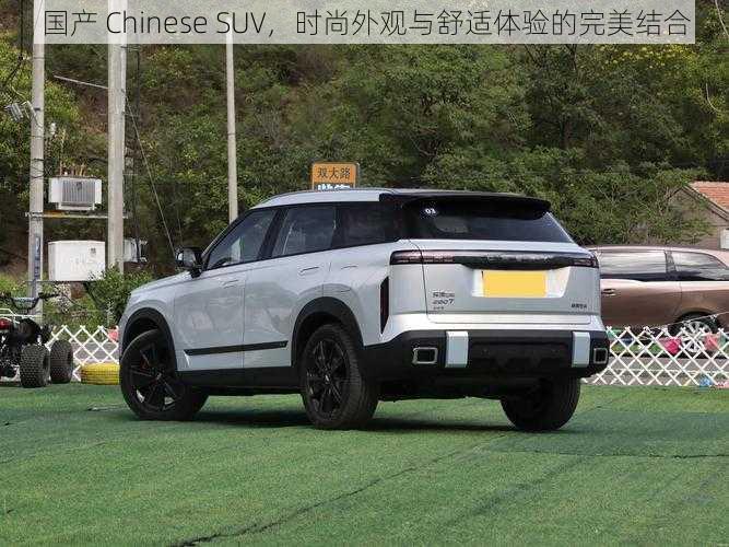 国产 Chinese SUV，时尚外观与舒适体验的完美结合