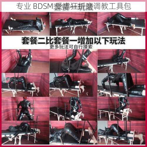 专业 BDSM 受虐狂折磨调教工具包