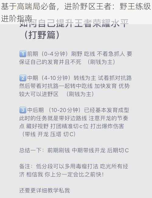 基于高端局必备，进阶野区王者：野王练级进阶指南