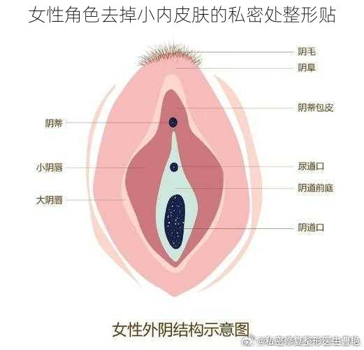 女性角色去掉小内皮肤的私密处整形贴