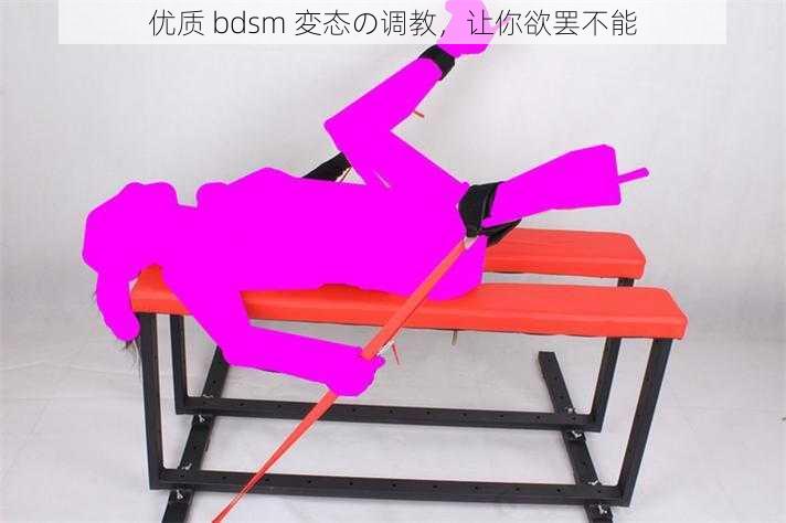 优质 bdsm 変态の调教，让你欲罢不能