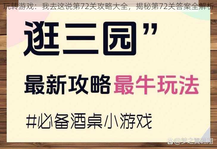 玩转游戏：我去这说第72关攻略大全，揭秘第72关答案全解析