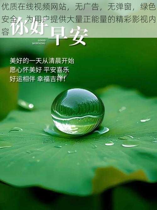 优质在线视频网站，无广告，无弹窗，绿色安全，为用户提供大量正能量的精彩影视内容