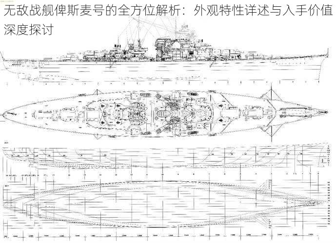 无敌战舰俾斯麦号的全方位解析：外观特性详述与入手价值深度探讨