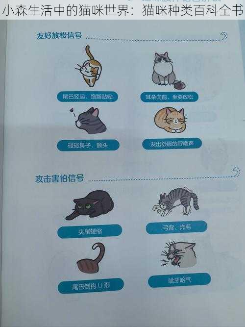 小森生活中的猫咪世界：猫咪种类百科全书