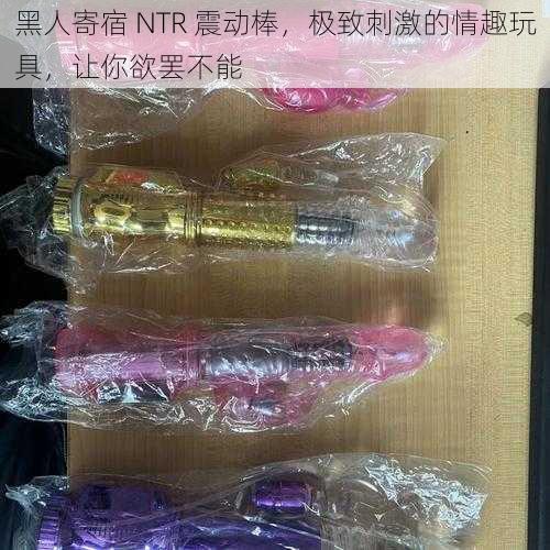 黑人寄宿 NTR 震动棒，极致刺激的情趣玩具，让你欲罢不能