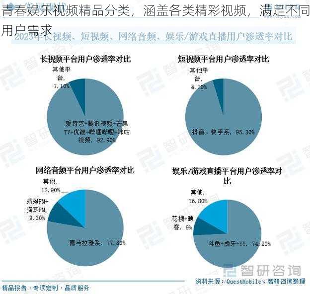 青春娱乐视频精品分类，涵盖各类精彩视频，满足不同用户需求