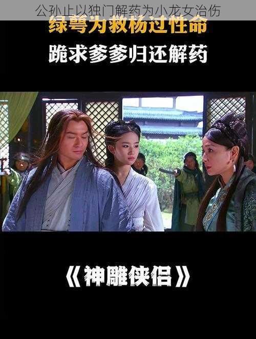 公孙止以独门解药为小龙女治伤