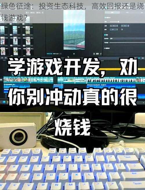 绿色征途：投资生态科技，高效回报还是烧钱游戏？