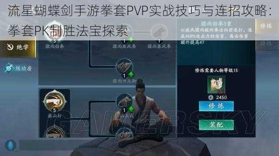 流星蝴蝶剑手游拳套PVP实战技巧与连招攻略：拳套PK制胜法宝探索