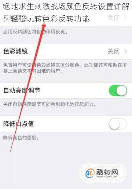 绝地求生刺激战场颜色反转设置详解：轻松玩转色彩反转功能