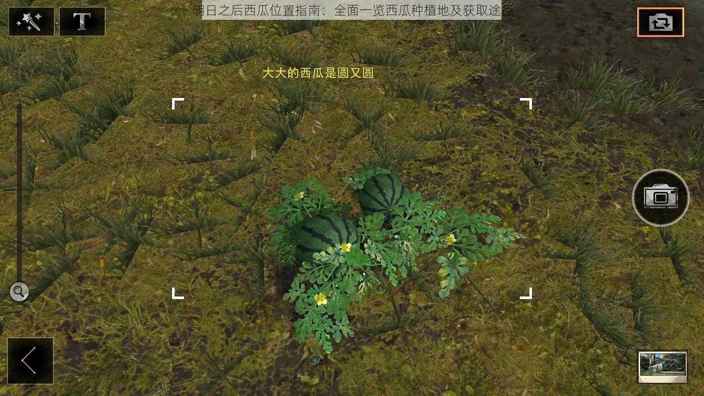 明日之后西瓜位置指南：全面一览西瓜种植地及获取途径