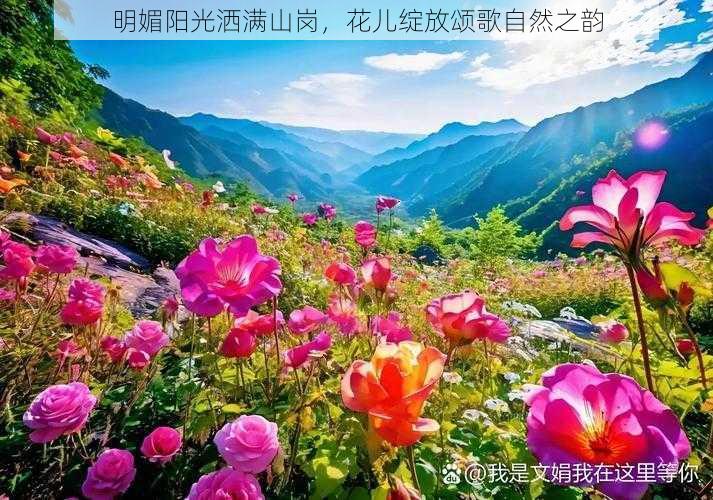 明媚阳光洒满山岗，花儿绽放颂歌自然之韵