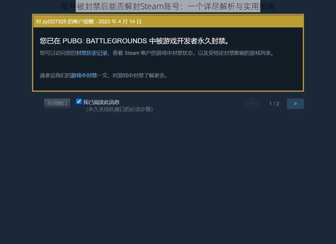 账号被封禁后能否解封Steam账号：一个详尽解析与实用指南