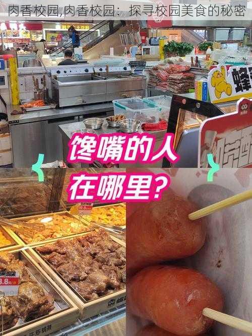 肉香校园,肉香校园：探寻校园美食的秘密