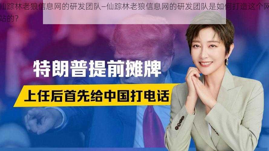 仙踪林老狼信息网的研发团队—仙踪林老狼信息网的研发团队是如何打造这个网站的？