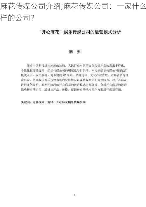 麻花传媒公司介绍;麻花传媒公司：一家什么样的公司？