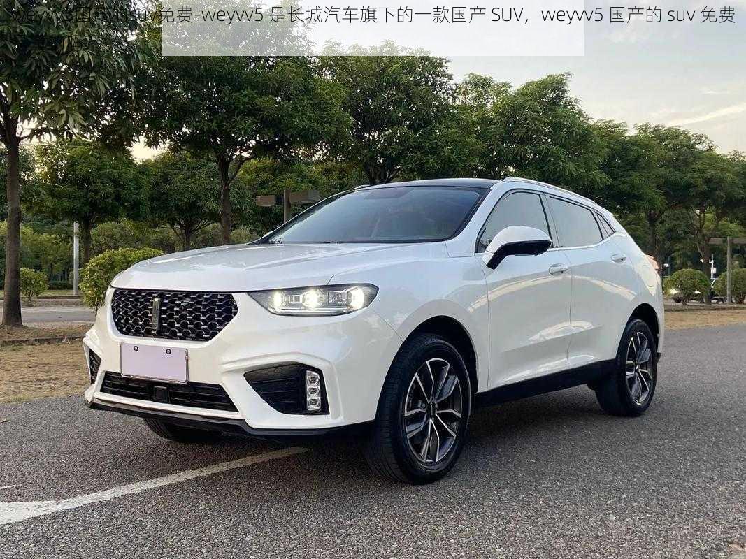 weyvv5国产的suv免费-weyvv5 是长城汽车旗下的一款国产 SUV，weyvv5 国产的 suv 免费是真的吗？