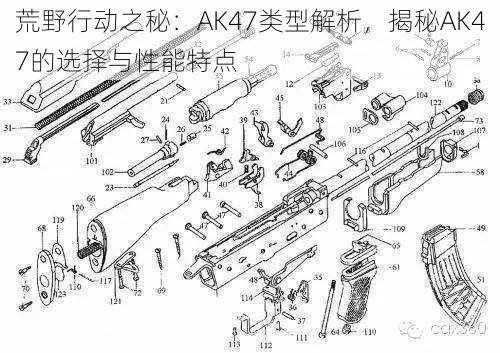 荒野行动之秘：AK47类型解析，揭秘AK47的选择与性能特点