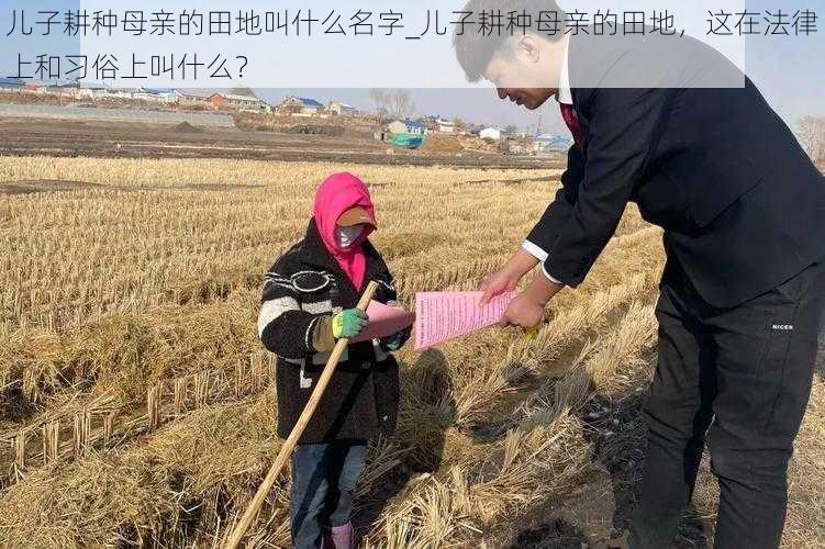 儿子耕种母亲的田地叫什么名字_儿子耕种母亲的田地，这在法律上和习俗上叫什么？