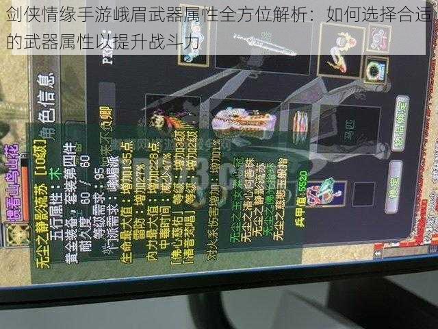 剑侠情缘手游峨眉武器属性全方位解析：如何选择合适的武器属性以提升战斗力