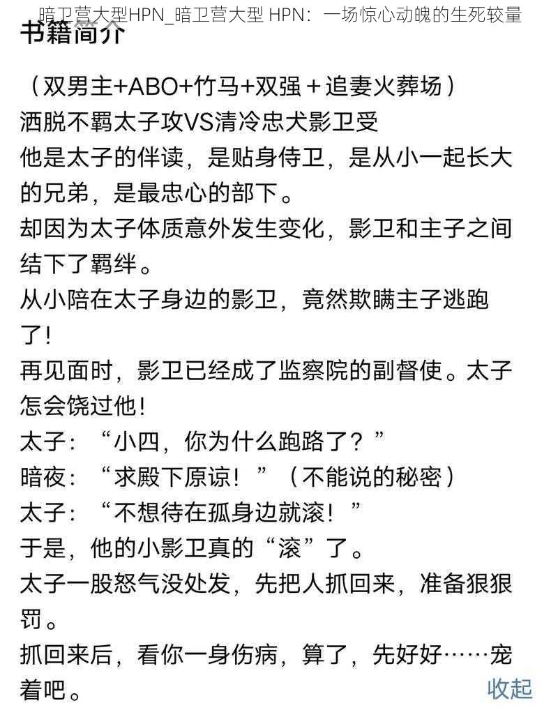 暗卫营大型HPN_暗卫营大型 HPN：一场惊心动魄的生死较量