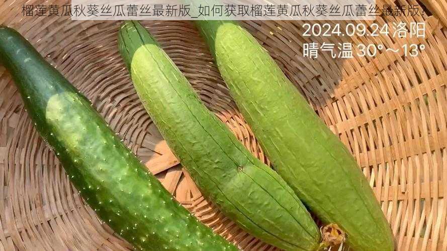 榴莲黄瓜秋葵丝瓜蕾丝最新版_如何获取榴莲黄瓜秋葵丝瓜蕾丝最新版？