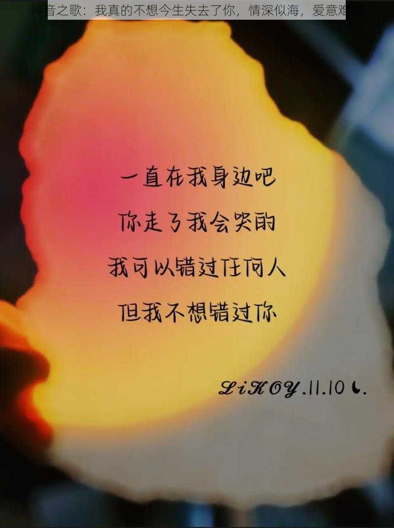 抖音之歌：我真的不想今生失去了你，情深似海，爱意难舍