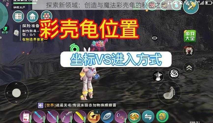 探索新领域：创造与魔法彩壳龟的秘密之地