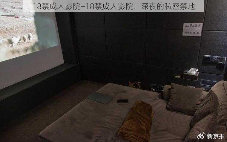 18禁成人影院—18禁成人影院：深夜的私密禁地