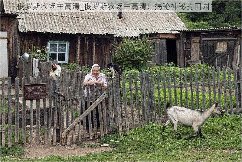 俄罗斯农场主高清_俄罗斯农场主高清：揭秘神秘的田园生活