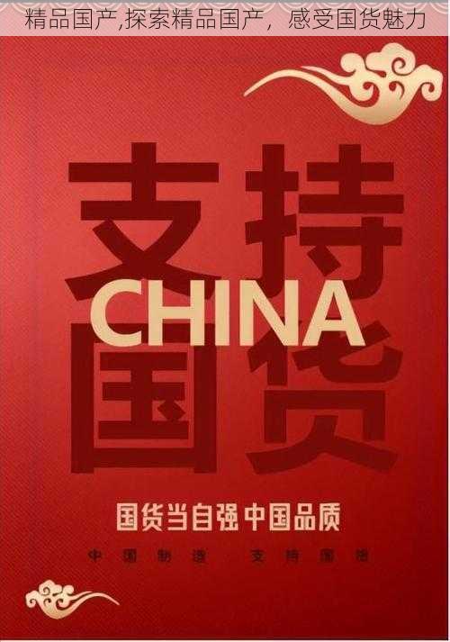 精品国产,探索精品国产，感受国货魅力