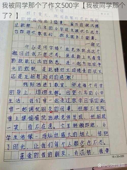 我被同学那个了作文500字【我被同学那个了？】