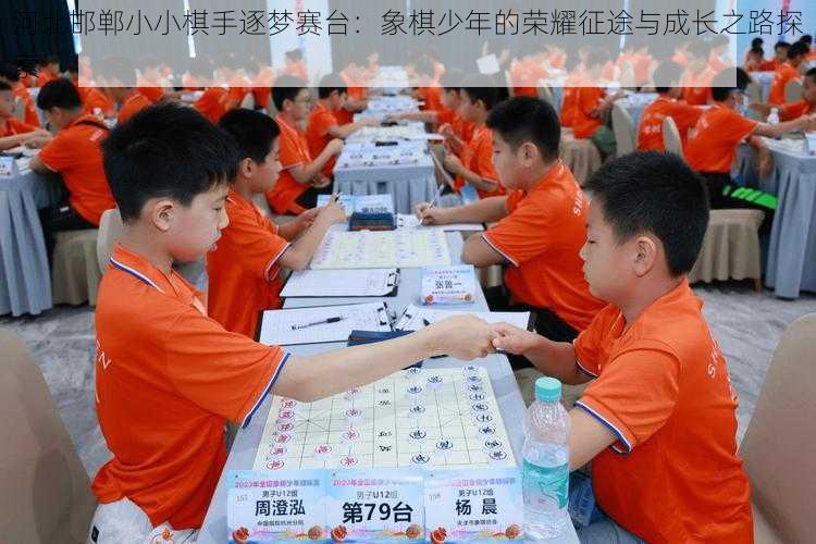 河北邯郸小小棋手逐梦赛台：象棋少年的荣耀征途与成长之路探索