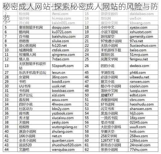 秘密成人网站-探索秘密成人网站的风险与防范