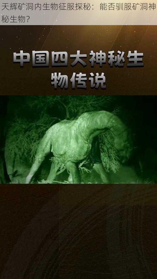 天辉矿洞内生物征服探秘：能否驯服矿洞神秘生物？