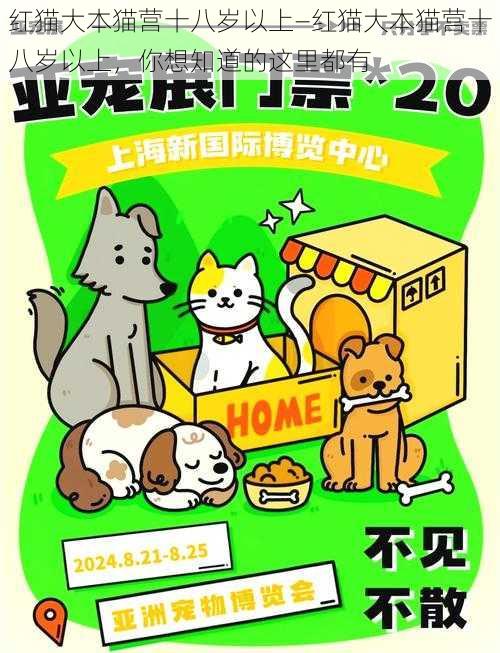 红猫大本猫营十八岁以上—红猫大本猫营十八岁以上，你想知道的这里都有