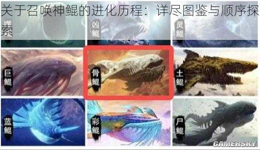 关于召唤神鲲的进化历程：详尽图鉴与顺序探索