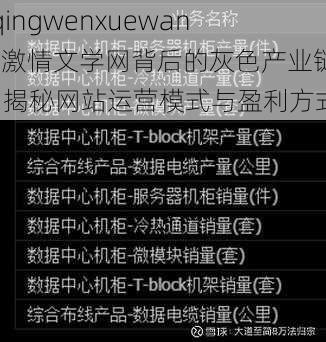 jiqingwenxuewang(激情文学网背后的灰色产业链：揭秘网站运营模式与盈利方式)