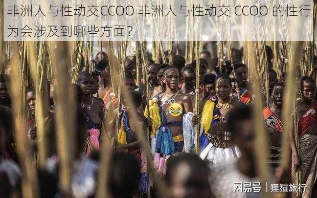 非洲人与性动交CCOO 非洲人与性动交 CCOO 的性行为会涉及到哪些方面？