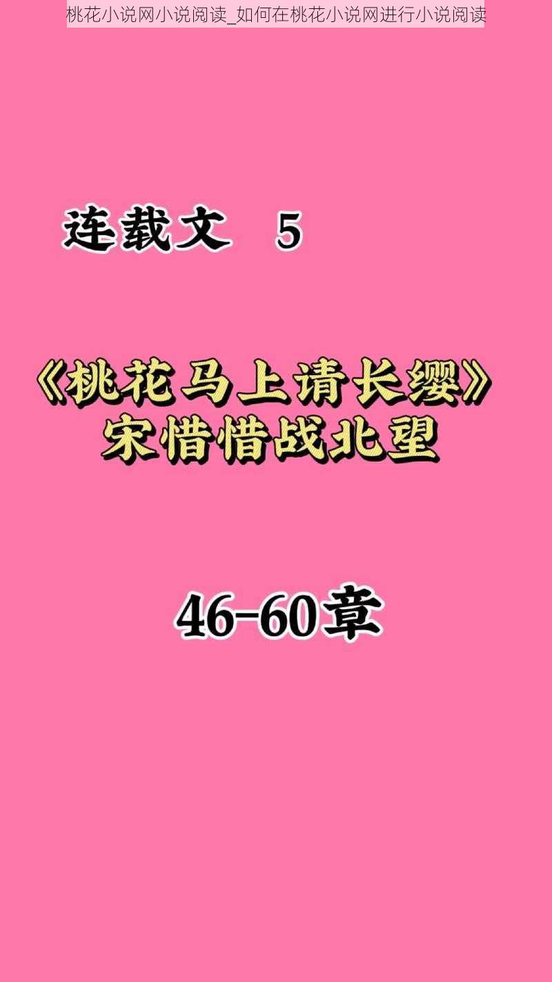 桃花小说网小说阅读_如何在桃花小说网进行小说阅读