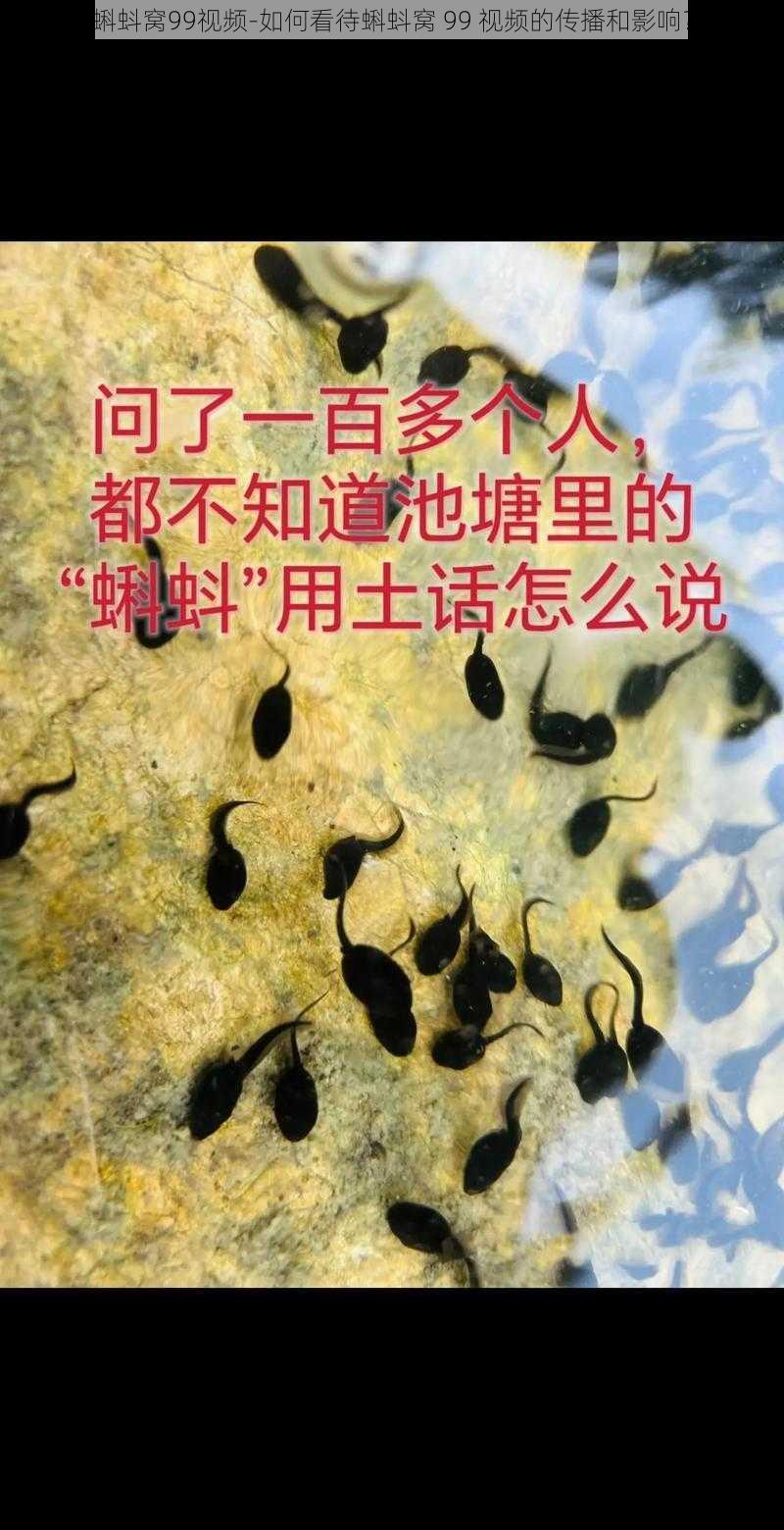 蝌蚪窝99视频-如何看待蝌蚪窝 99 视频的传播和影响？