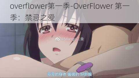 overflower第一季-OverFlower 第一季：禁忌之爱