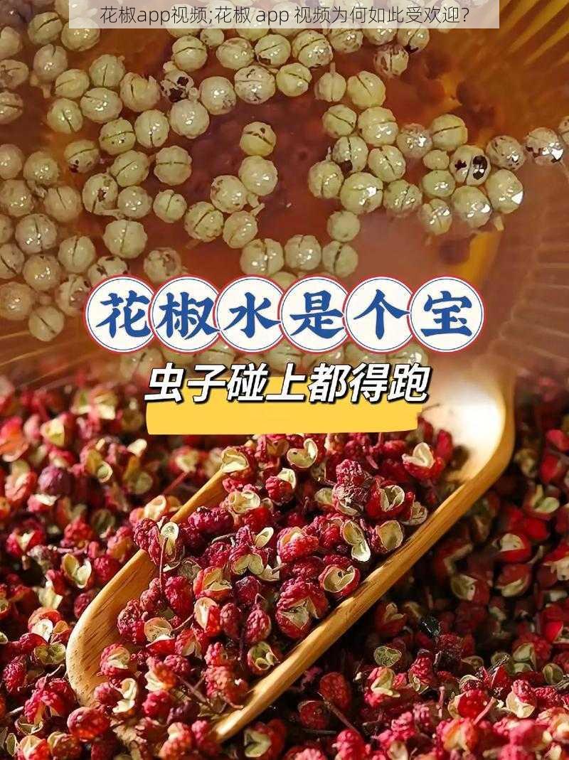 花椒app视频;花椒 app 视频为何如此受欢迎？