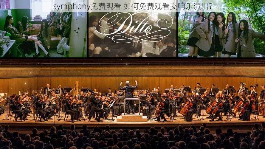 symphony免费观看 如何免费观看交响乐演出？