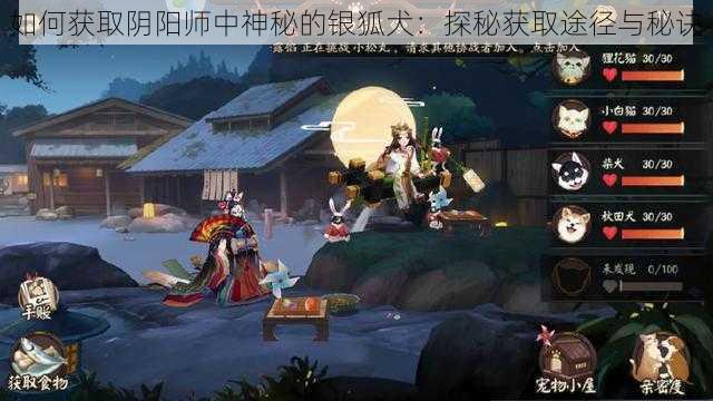 如何获取阴阳师中神秘的银狐犬：探秘获取途径与秘诀