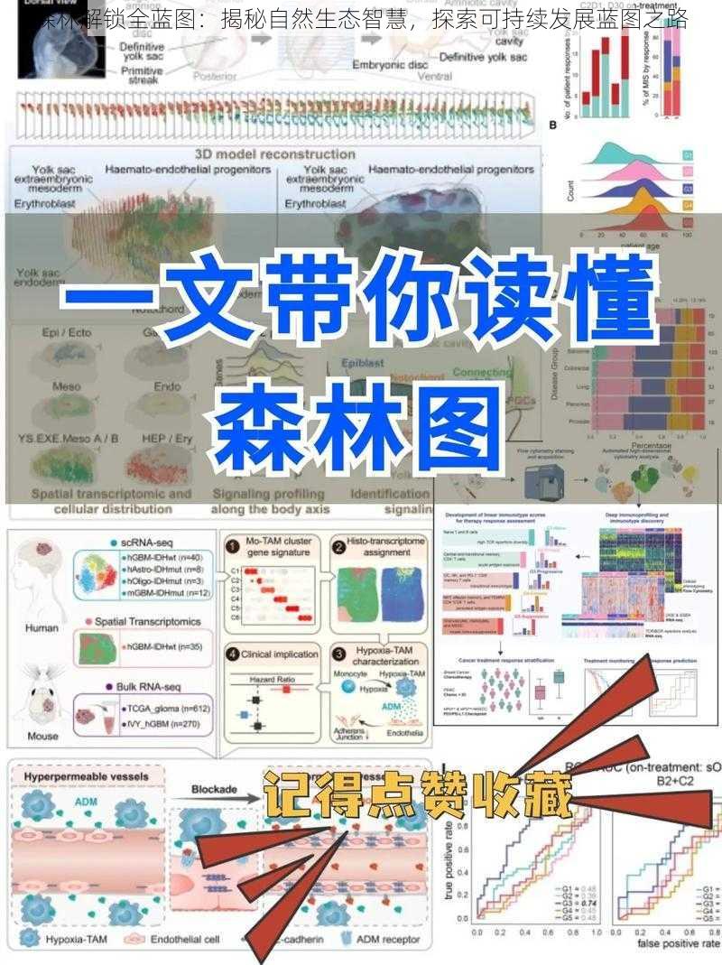 森林解锁全蓝图：揭秘自然生态智慧，探索可持续发展蓝图之路